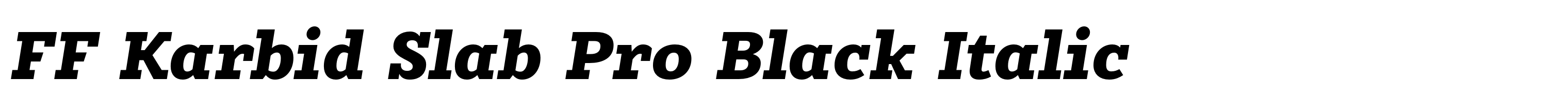 FF Karbid Slab Pro Black Italic